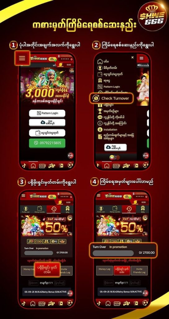 shwe666 check turnover